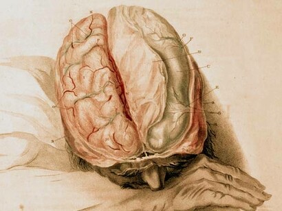 Charles Bell (1774-1842), L'anatomia del cervello, illustrata in una serie di incisioni. Londra T.N. Longman e O. Rees (ecc.), 1802