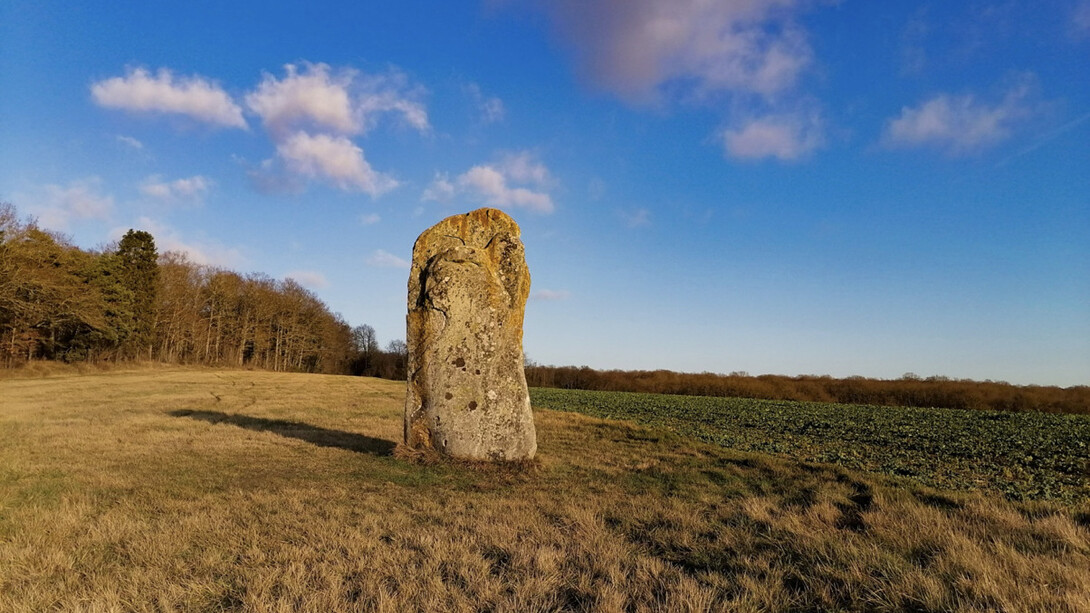 Menhir de Diant (Yonne – France)