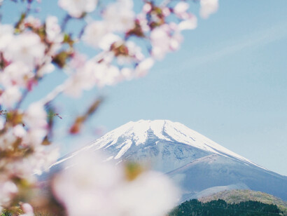 Mount Fuji at Spring