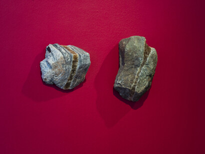 Mari Männa and Maria Erikson, Imprint of vulnerability, exhibition view. Courtesy of Tallinn City Gallery