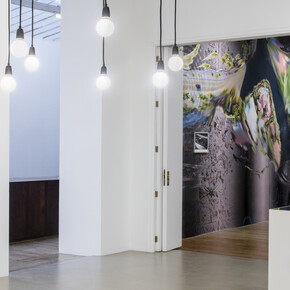 Seen in a cristal ball. Courtesy of Galerie Chantal Crousel