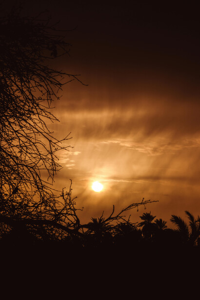 Desafios atuais da desertificação no Saara e suas consequências para as populações africanas