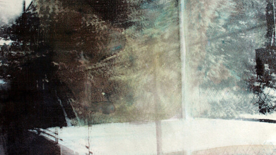 'Dondal II' (detail) by Eva Nielsen