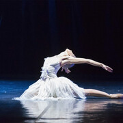 Il lago dei cigni. Foto Gabriele Orlandi