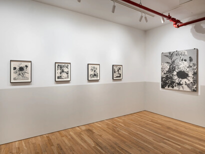 Jeff Wallace, To from, exhibition view. Courtesy of Jane Lombard Gallery