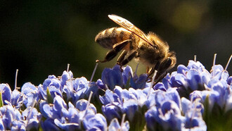 L'arrivo della primavera