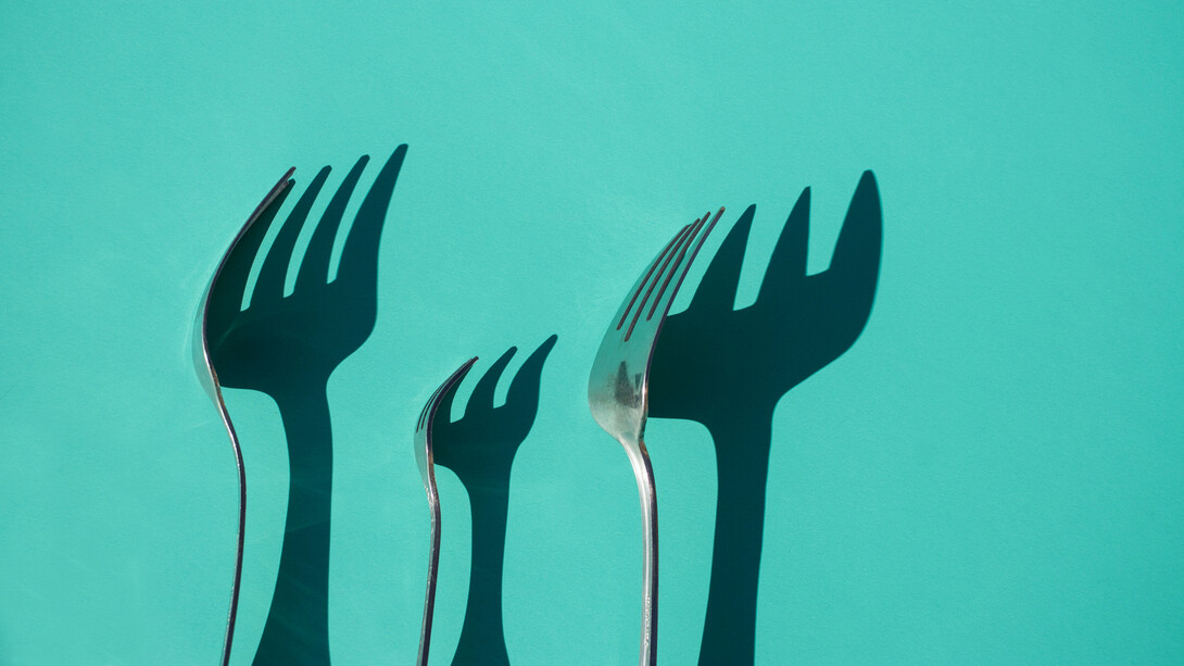 Una alimentación saludable no se construye con dietas temporales, sino con hábitos sostenibles que acompañan toda la vida