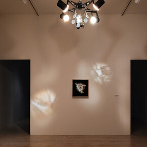 Enzo Camacho and Ami Lien, Offerings for Escalante, exhibition view. Courtesy of MoMA PS1