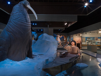 Polar World. Courtesy of Carnegie Museum of Natural History