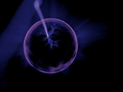 Dónde emerge la vida