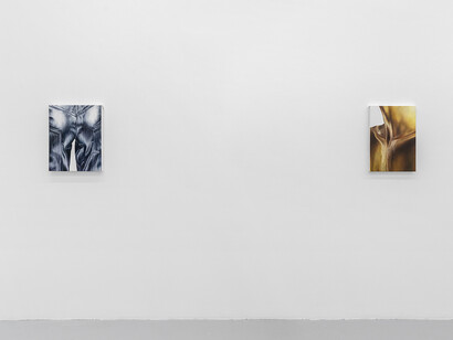 Margaux Valengin, A world of part-object phantasies, vue de l'exposition. Avec l'aimable autorisation de la Galerie Pact