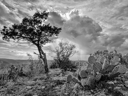 Arizona