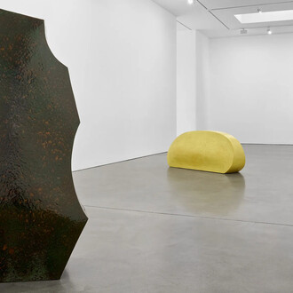 Richard Deacon, Just looking, exhibition view. Courtesy of Galerie Thomas Schulte