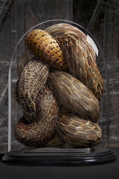 Kate MccGwire, BRAWL, 2014, Mixed media with pheasant feathers in an antique dome - Photo JP Bland © Kate MccGwire