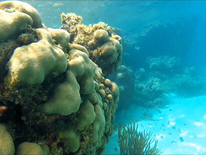 The  transparent water of Caribe