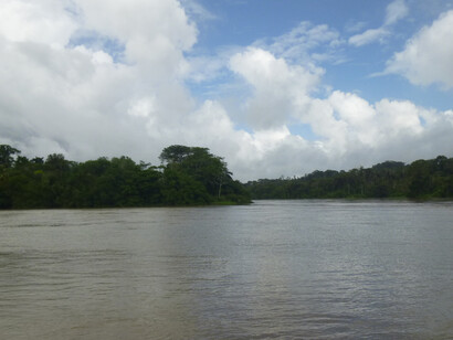 Bosques ribereños del río San Juan, en la frontera entre Costa Rica y Niacaragua. Foto: Luko Hilje