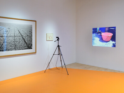 Melanie Smith. Courtesy of Museo Amparo