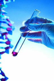 DNA text: DNA ancestry test may include an ethnic assessment or evaluation