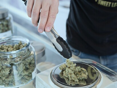 La coltivazione di piante di cannabis finalizzata al consumo personale non sarebbe prodromica all’immissione della droga sul mercato