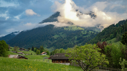 Retrato de un mundo mítico y rural donde la naturaleza, los dioses y los humanos conviven en un ciclo continuo de vida, muerte y transformación