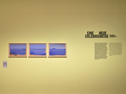 Susan Sontag, Seeing and being seen, exhibition view. Courtesy of Bundeskunsthalle