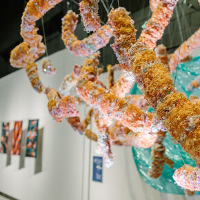 Many Faces of Our Mental Health. Courtesy of Museum of Science