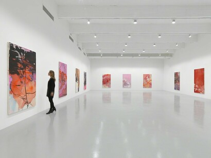 Rita Ackermann, Kline Rape, Exhibition view. Courtesy of Hauser & Wirth