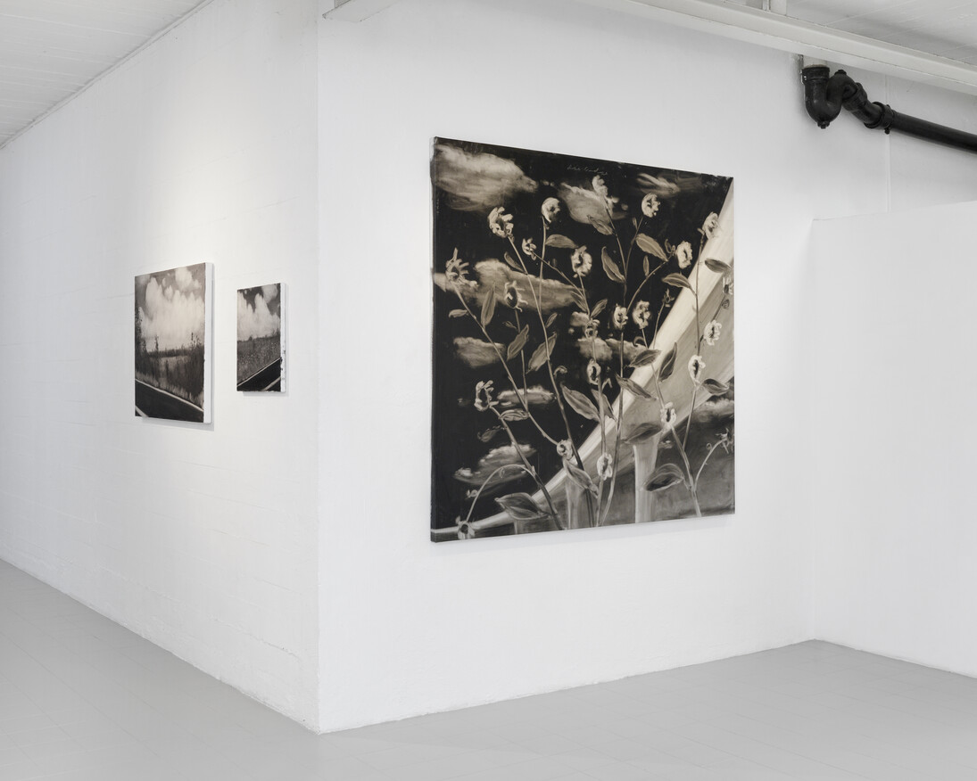 Rainbow Road. Courtesy of Galerie Sébastien Bertrand