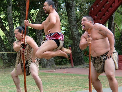 Maoris performam o haka. Os maoris não tinham muita preocupação com a ecologia dos animais, matavam várias aves em uma só caçada, se aproveitando da vulnerabilidade dos bichos que nunca tinham enfrentado um mamífero predador antes