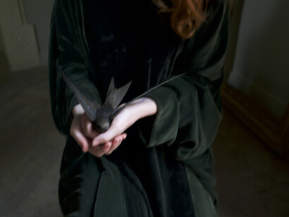 Eleonora Orlando, Uccellino. Per gentile concessione di In via Cluverio, Officina