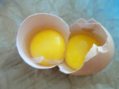 Uova freschissime
