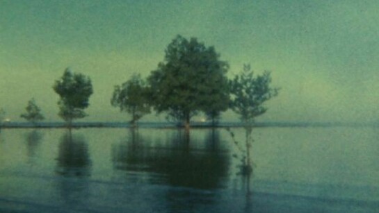 Simryn Gill, Untitled, 2004 Still from Super 8mm film. Courtesy the artist