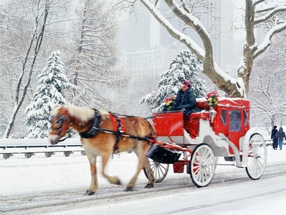Nueva York. Coche de caballos por un nevado Central Park