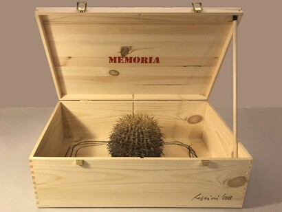 Roberto Rossini, Memory box, non c’è memoria senza oblio