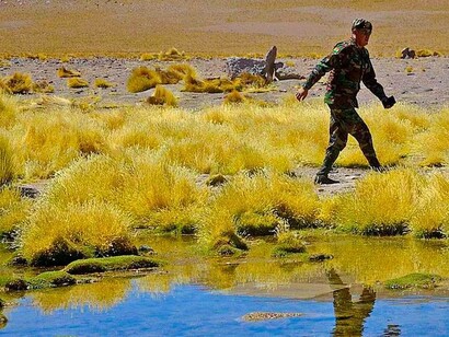 Cauce del río Silala