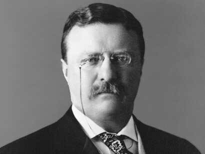 Teodoro Roosevelt, vigésimo sexto presidente de los Estados Unidos (1901-1909)