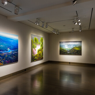 Tula Telfair, Who owns this land, exhibition view. Courtesy of Hirschl & Adler Modern