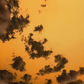 Nate Cassie, Tuileries cut, 2023-2024. Courtesy of Ruiz-Healy Art Gallery