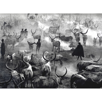 Dinka Cattle Camp of Amak at the End of the Day, Southern Sudan, 2006 © Sebastião Salgado / Amazonas Images