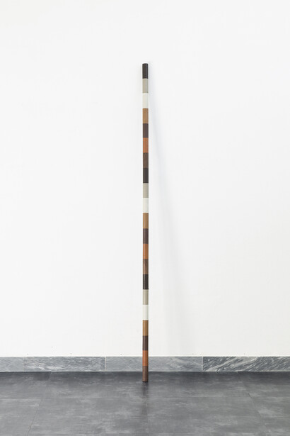 Apparatus 22
ERRATIC STATISTICS (1)  
object (wood stick, leather of different colors)
2m 
2016
Edition: 5 + 3AP   
