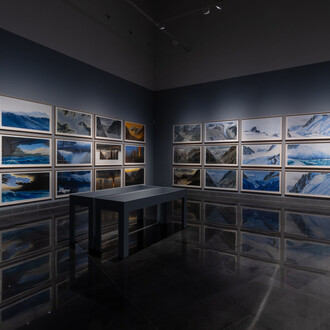Jesus Mari Lazkano, Natura fugit, vista de exhibición. Cortesía del Museo Universidad de Navarra