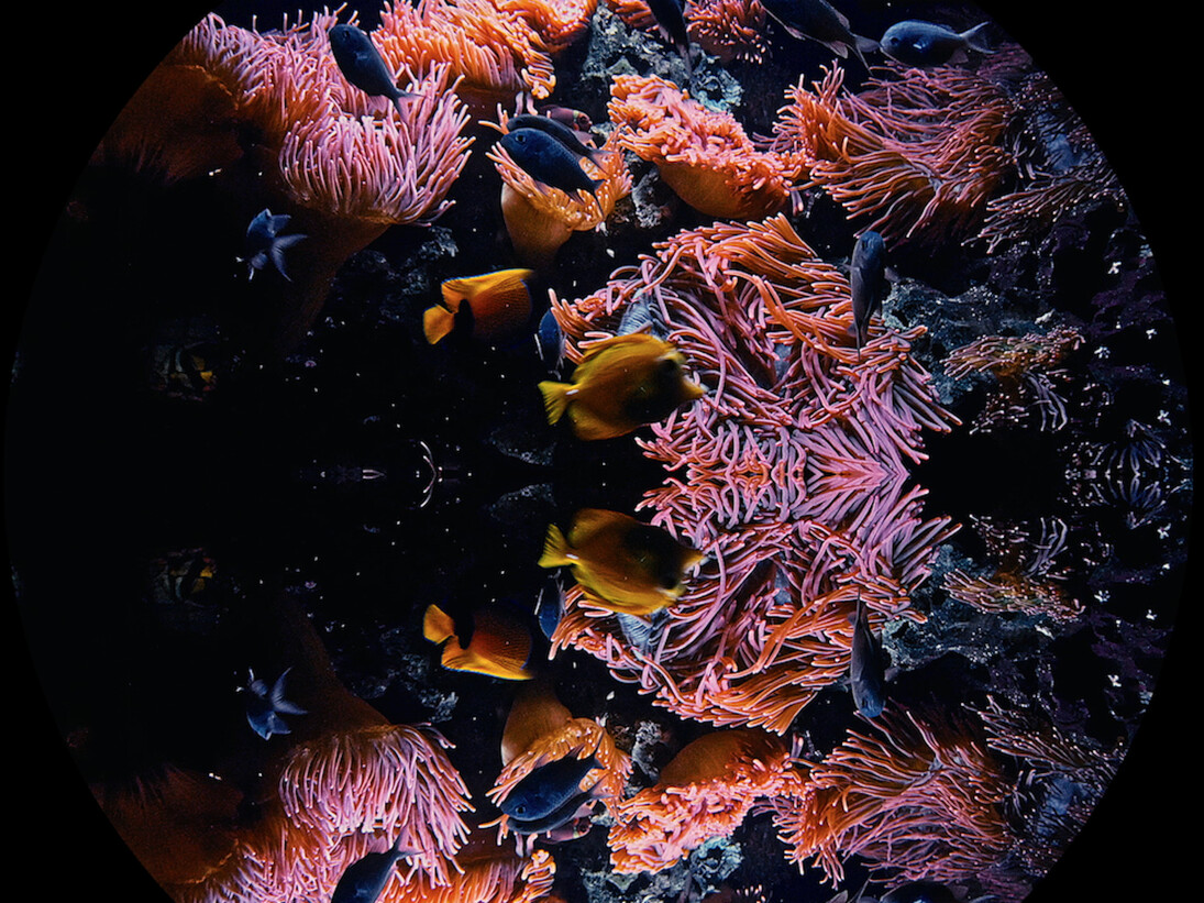 Theo Eshetu, The Slave Ship, 2015, video installation. Image © Theo Eshetu, courtesy of the artist and Tiwani Contemporary.
