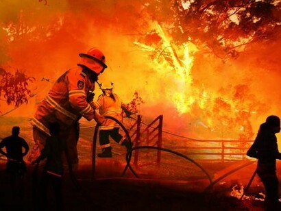 By the time firefighters smothered the last blaze, 3 billion animals had been killed or displaced