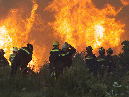 Incendio forestal en Maule, debido con frecuencia a la sequia y el monocultivo forestal