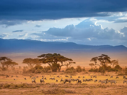 Parc National de Tsavo. Kenya