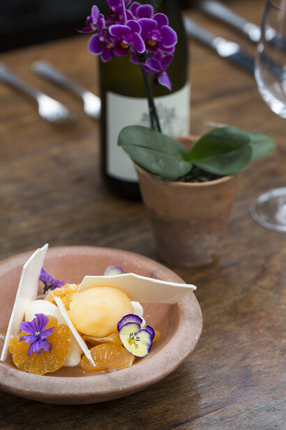 Clementine Sorbet. Credit to Marimo Images