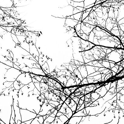 Disegni nell'Aria. 