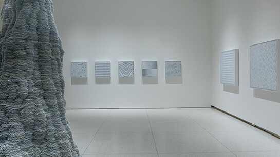 Tara Donovan. Courtesy of Smart Museum of Art