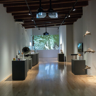 Sandra Rozental, Emilio Chapela, and Eduardo Abaroa, Stelae of the Usumacinta, exhibition view. Courtesy of Museo Amparo