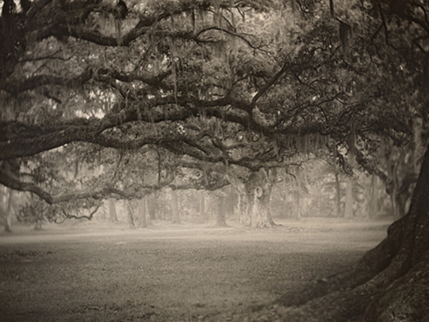 Sally Mann | Meer